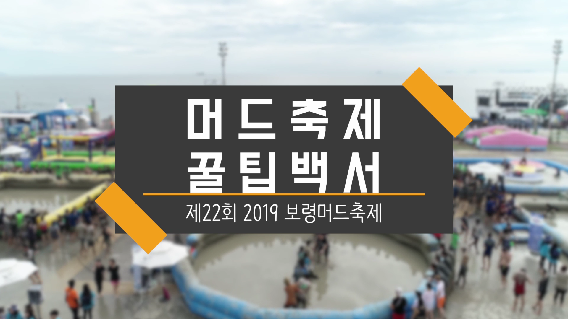 제22회 보령머드축제 꿀팁백서